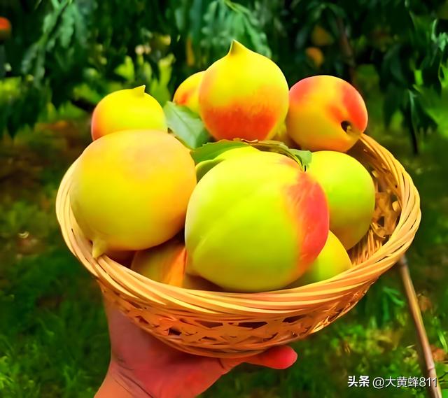 认识大美广东的每个县——第11波：连平