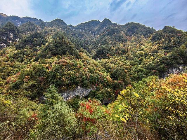 2024深秋四川行19 神农架风景区2 华中屋脊的五彩秘境