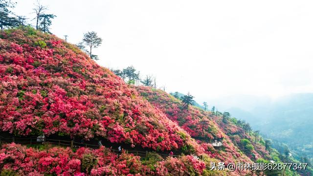 在黄陂，这样的美景你见过吗？