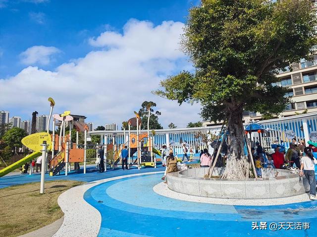 赏花、遛娃好去处，这个口袋公园成为了北海市冬日人气公园