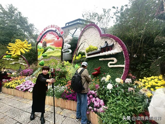 杭州植物园的菊花展——一场关于菊花的饕餮盛宴（二）