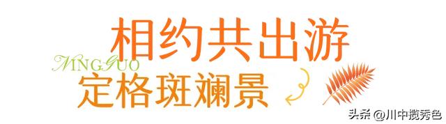 宁国红杉林：观赏指数Ⅱ级！