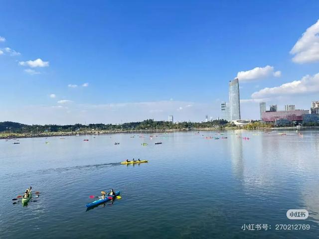 地铁直达！免费！成都20个绝美赏秋地，银杏水杉梧桐红枫限时上演！就在家门口！