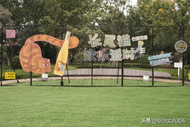 【乐游烟台】0元畅玩！烟台这个公园有新玩法