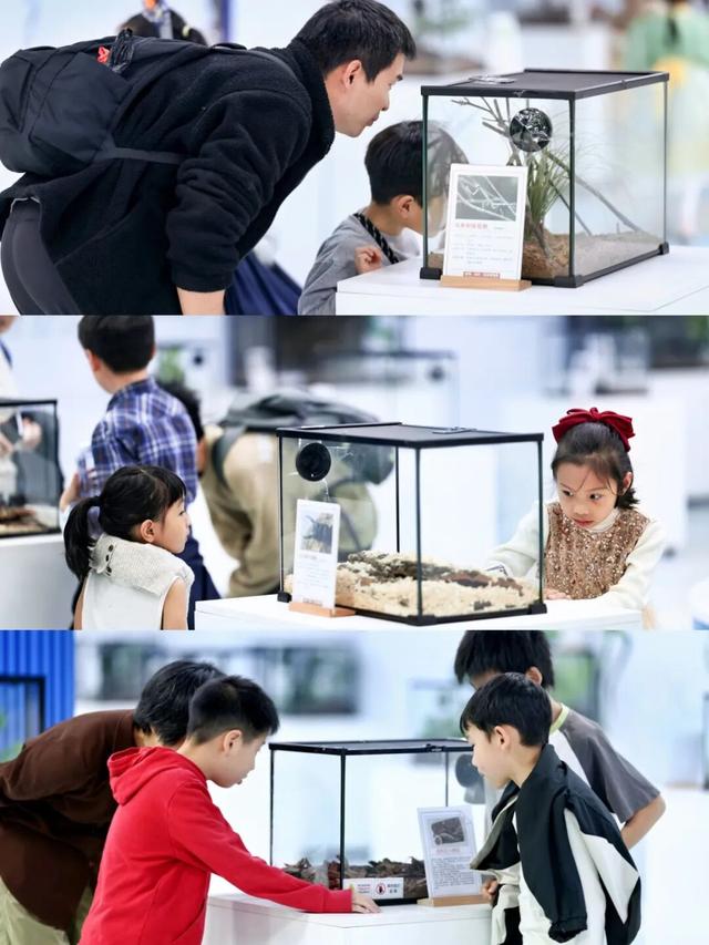 现在就出发！会玩儿的深圳人，已经安排上了……