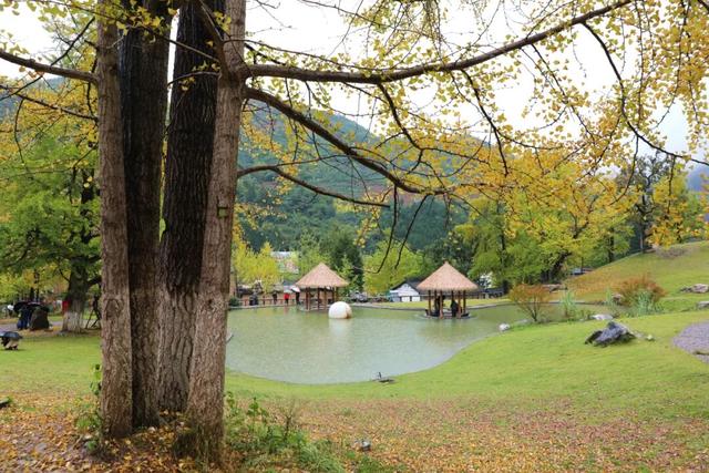 赵山、邹本伟、燕海潮徽县风光摄影作品