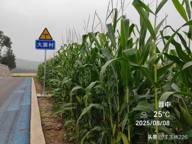 大寨，几度风雨几度春秋？