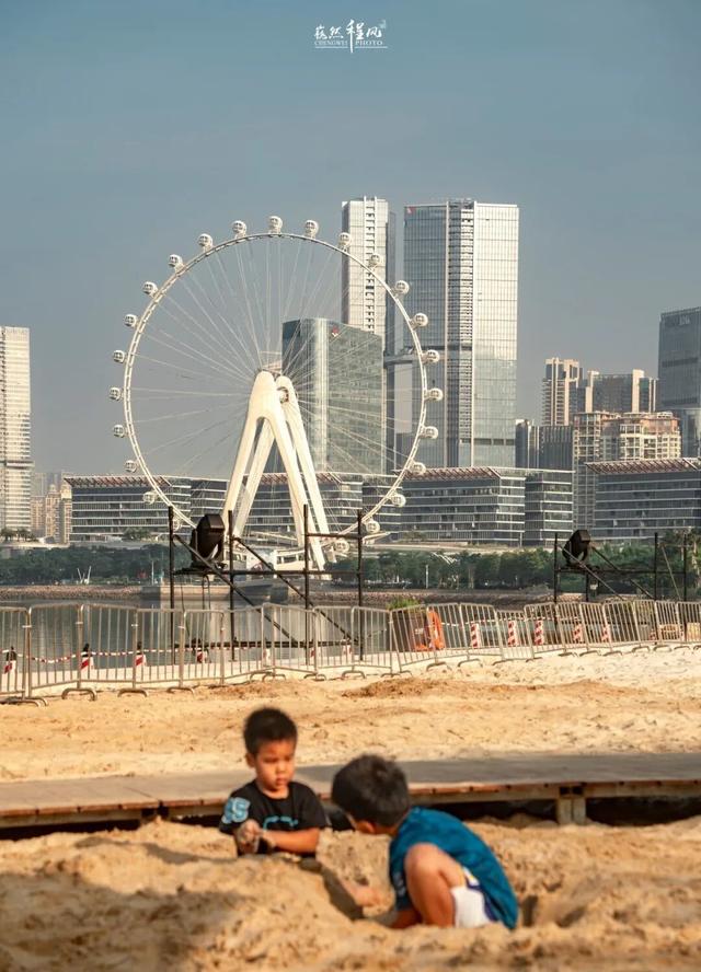漫步前海：邂逅花海、踏浪听风，在摩天轮下收藏一城浪漫