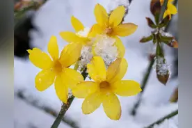 两个人互相惦记才叫爱！图片