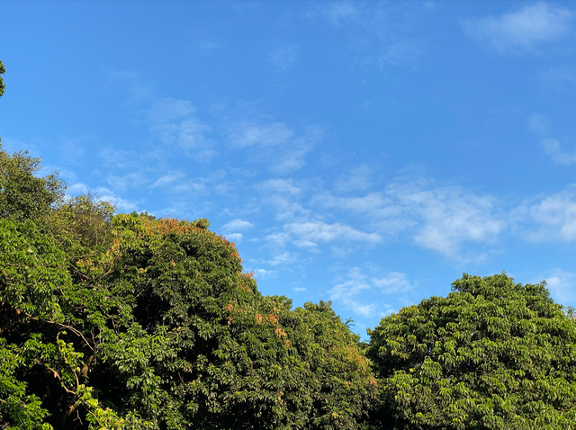 麒麟山真理公园1：这里的美景惊艳整个黄埔，你来过这里吗？