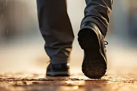 微信步数藏了多少人情世故图片