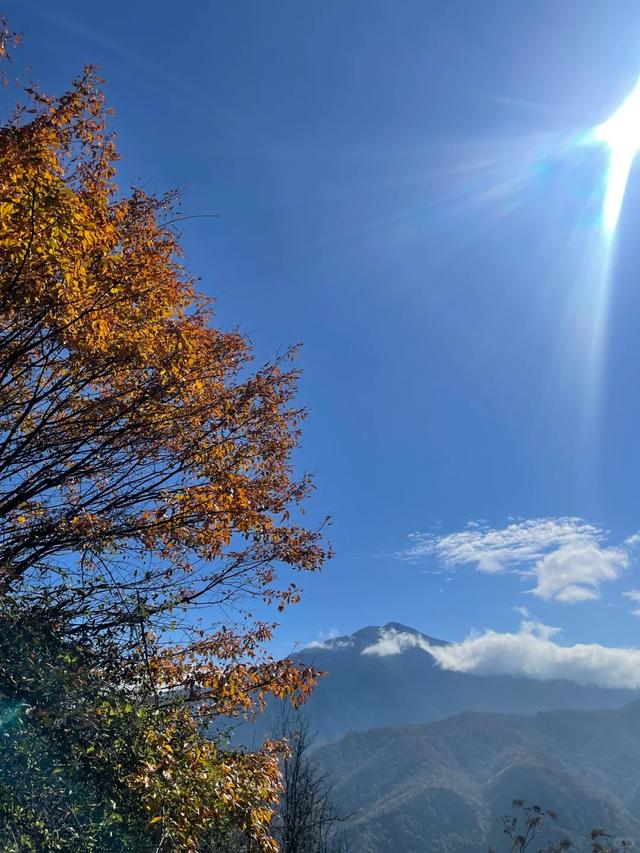 河南又一山走红，海拔2413米，被誉为 “中原之巅”景色不输云台山