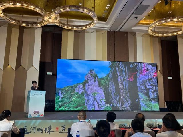 山亭文旅参加“运河明珠·匠心枣庄”2025枣庄文旅推介活动(连云港站）