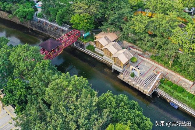 看完阅兵式后，我的“学习DNA”动了！