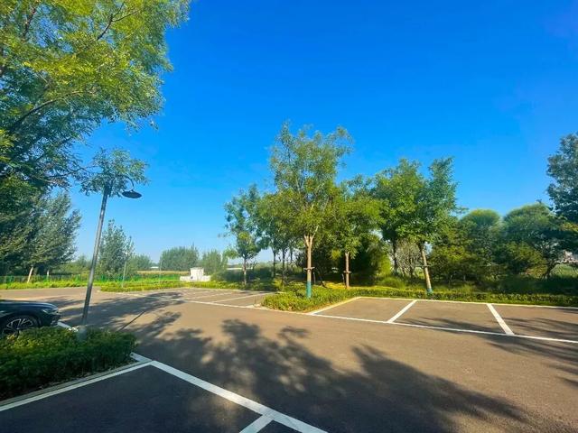 围挡拆除！淄博这个可以看水鸟的公园已面向市民免费开放！