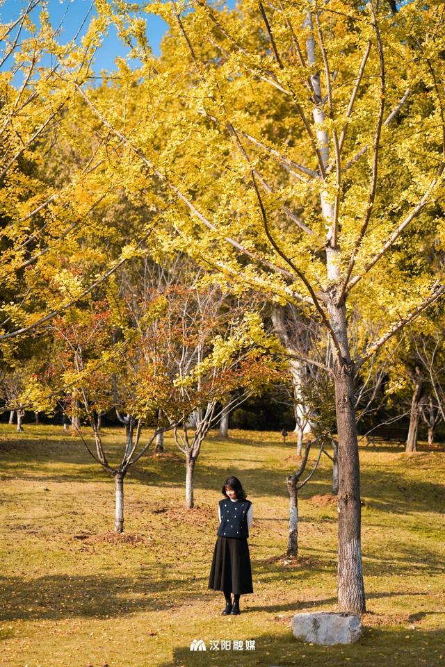 汉阳的秋天也太会了，“捡秋”比赏秋更上瘾
