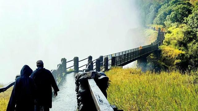 回归荒野__南部非洲四国游
