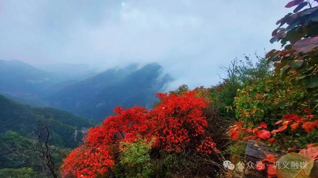 巩义这座山“红透了”!