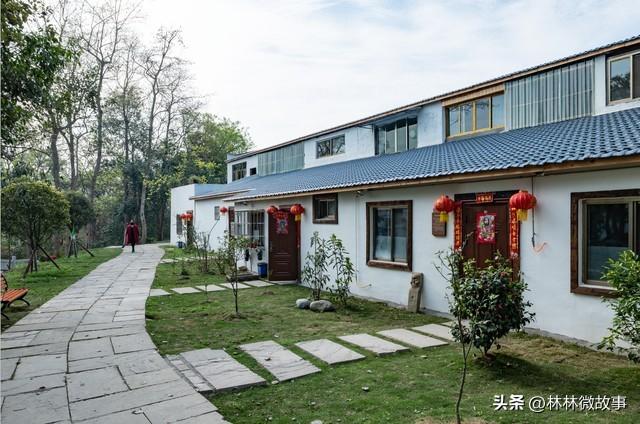 那年我下岗摆摊卖菜，遭女友嫌弃退婚，隔壁摊大娘把女儿介绍给我