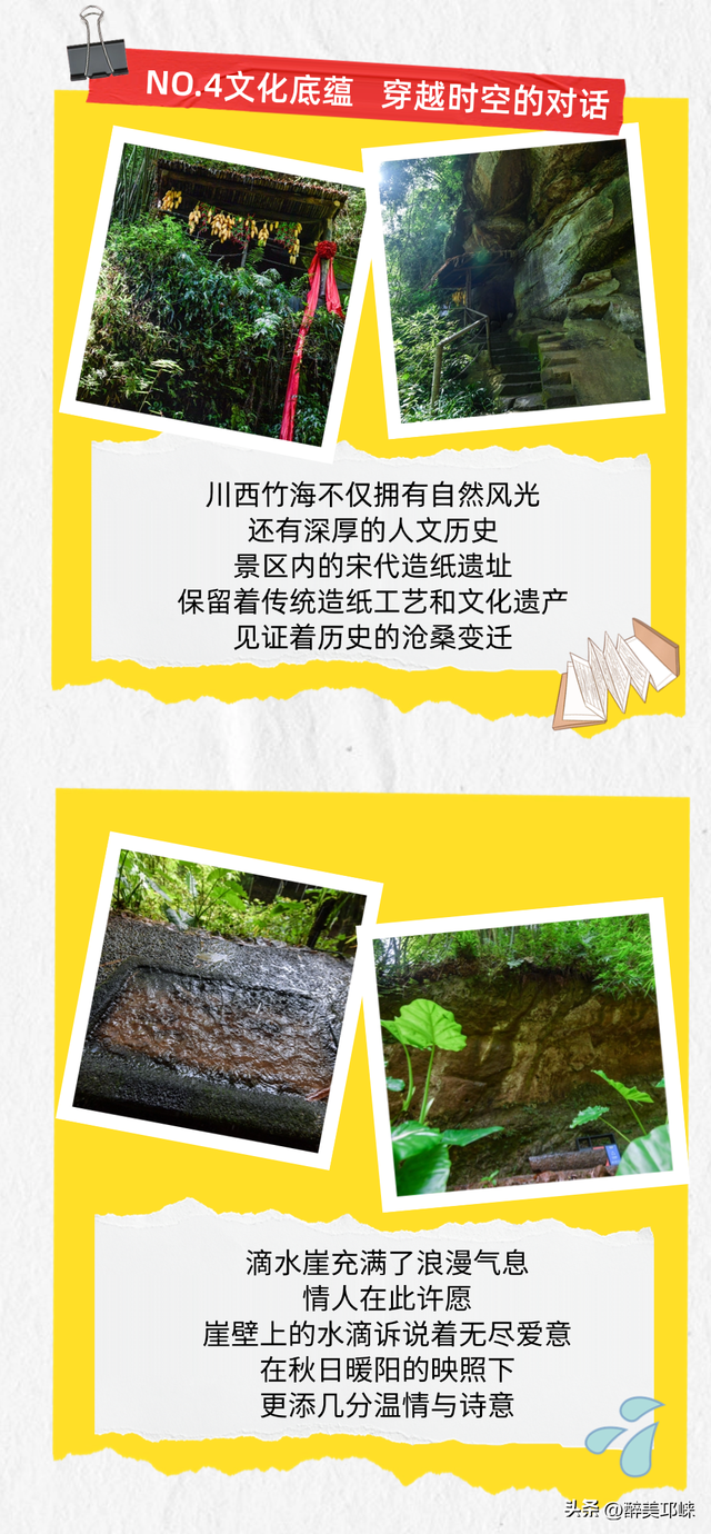 邂逅竹海秋日，解锁25℃的绿意仙境！