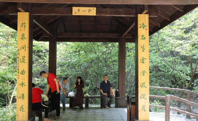 华东最后一片原始森林，藏在安徽，40块钱就能包场