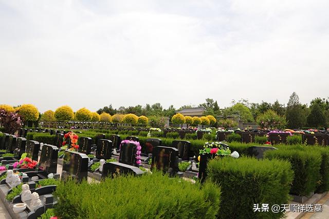 实地探访中华永久陵园：环境绿化与园区设施全解析