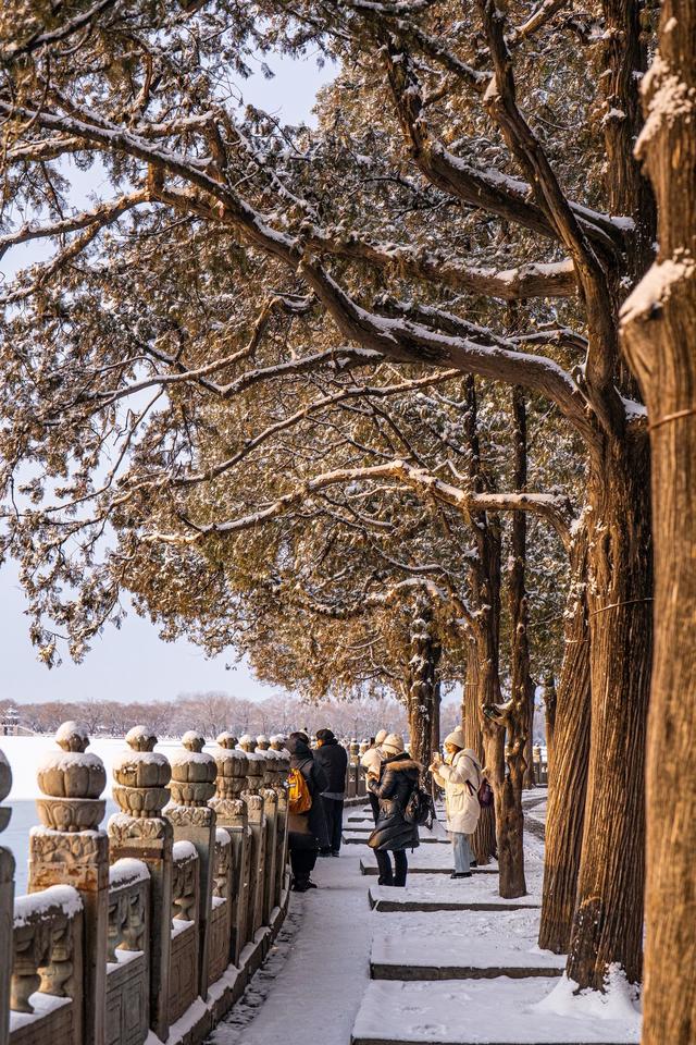 雪落廊桥，颐和园便成了半白半黛的水墨长卷。