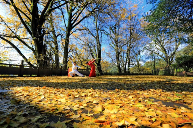 【跟着川超游雅安】如果你不来雅安，不知道秋天的雅安有多美！