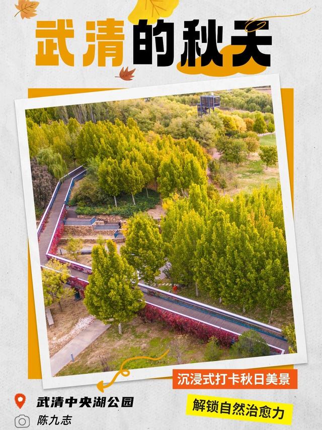 嗨，你的秋天留住了吗？