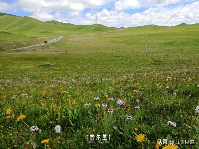 川西若尔盖大草原环线自驾攻略