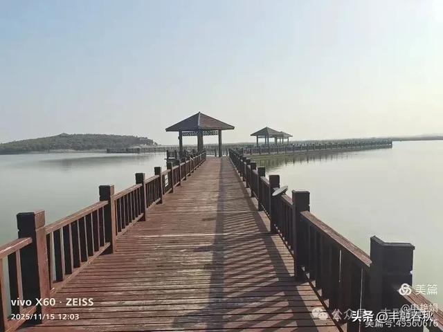 苇风载秋，鹤影映波——河北黄骅南大港湿地的初冬漫游｜ 申艳娟