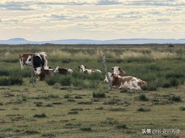 北上大草原第8站：贡格尔草原生活体验一天