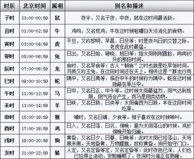 【蒲城·研学行】暑假“趣”哪玩？将相故里的时间博物馆藏着一堆快乐密码！