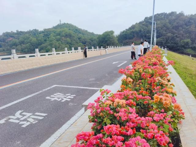 初冬“梅”好时光已至，惠城处处皆“花路”