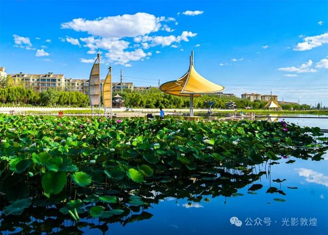 早晚凉风习习,敦煌党河风情线赏荷浪漫且惬意