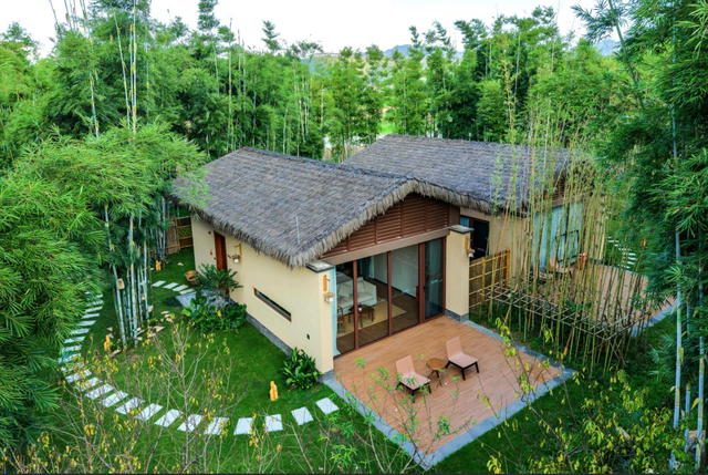 韶关新晋度假地，宛如现实版“绿野仙踪”，躺看星空的竹林民宿