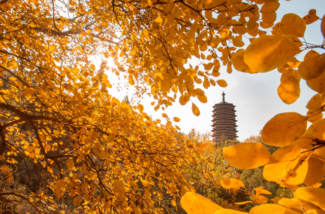 赏秋登高正当时！丰台这些好去处——