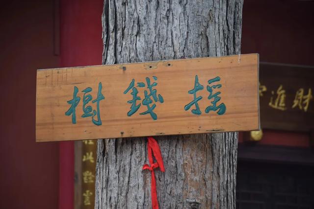 淡季来封神的地方，本地人清空收藏夹的的玩乐清单就看这篇了