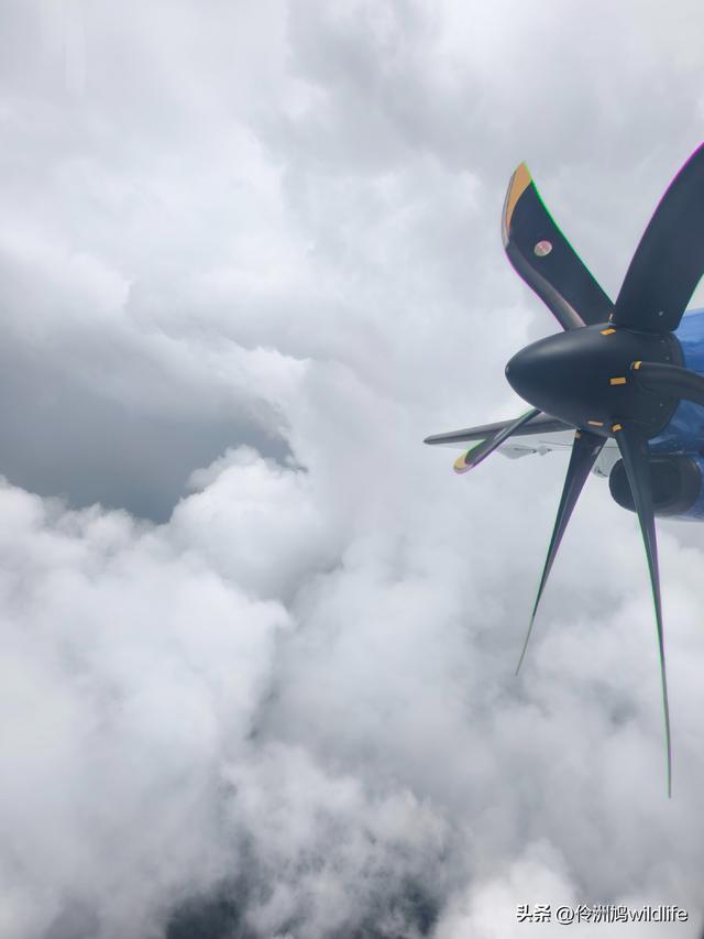 马来西亚(31)砂拉越州⑤姆鲁山canopy树冠高空漫游