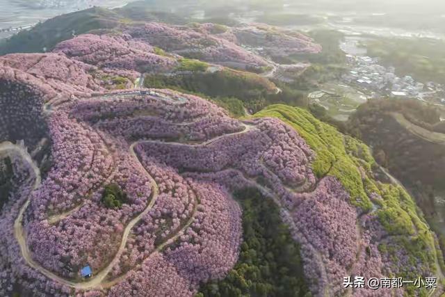 福建三明及其四大古镇