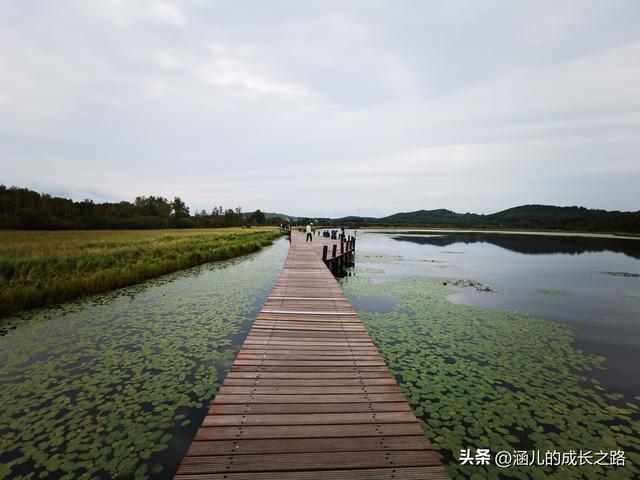 总要去趟草原吧！自驾塞罕坝和乌兰布统超简攻略（附图超全）
