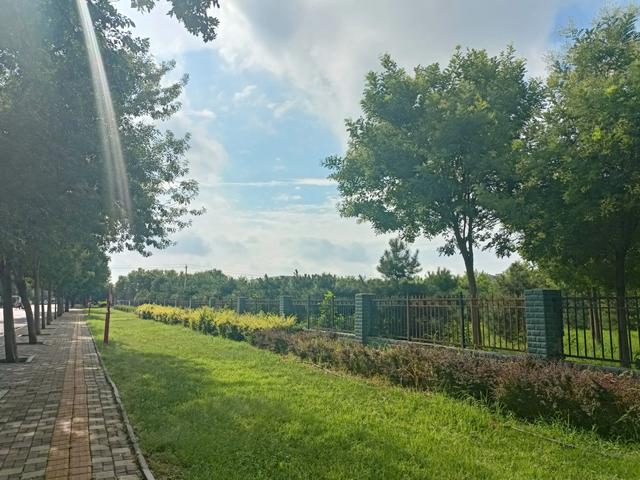 午后，雨后郊野，天气蒸热。