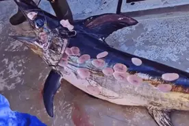 〖剜肉之神，像挖一块冰淇淋一样挖下你一块肉〗图片