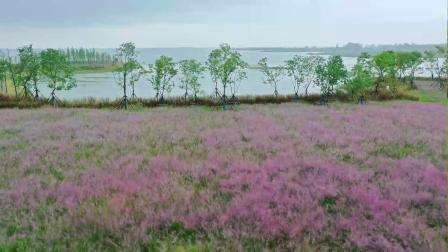 秋季到连云港看什么？