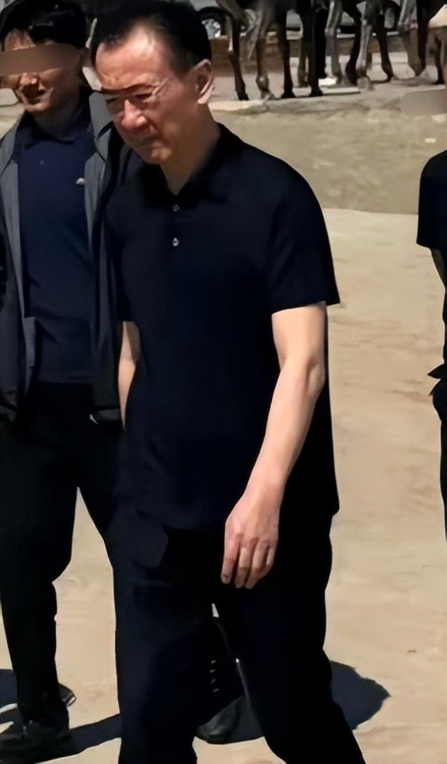 一年蒸发八百多亿！71岁的王健林财富缩水严重，王思聪仍在外玩耍