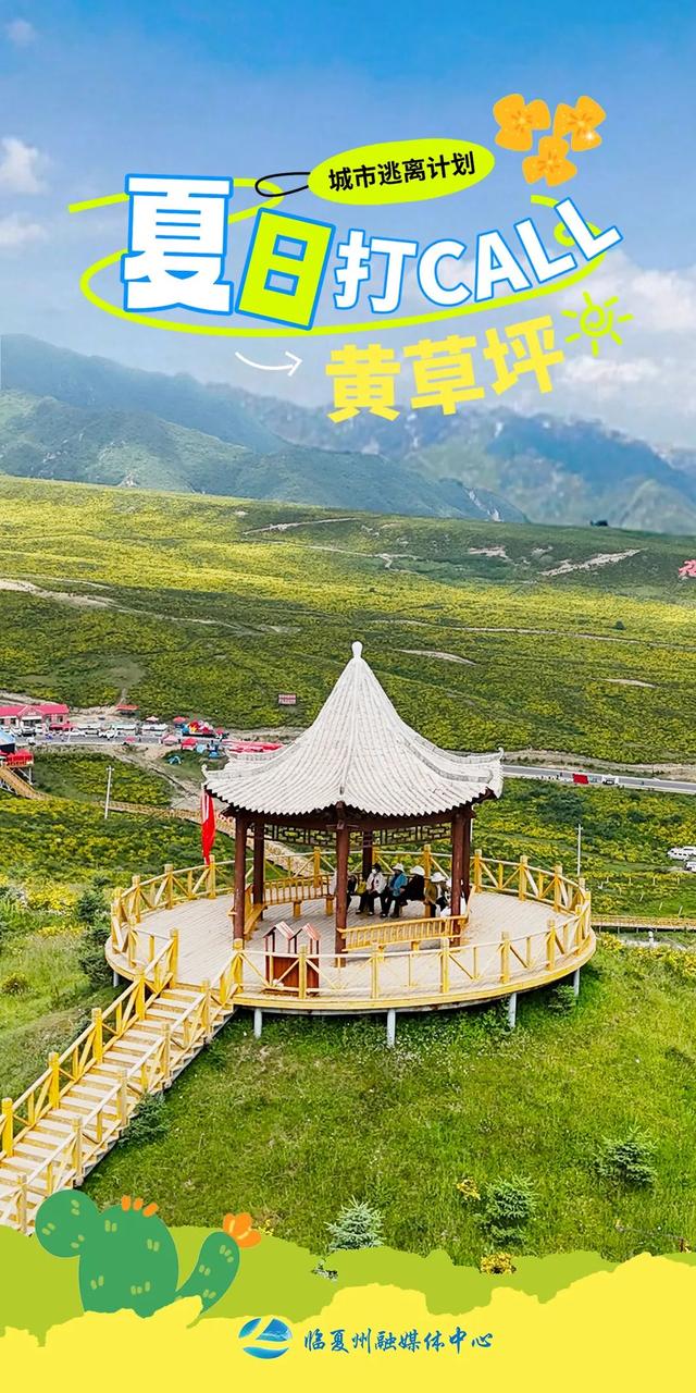 海报｜夏日，奔赴那片黄草坪