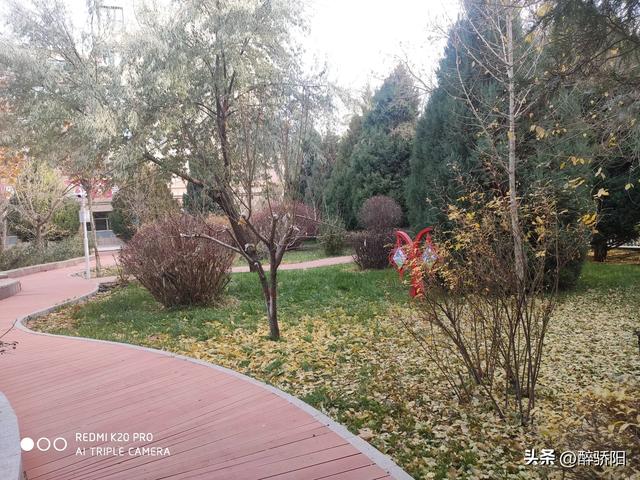 这里,有行走的秋光