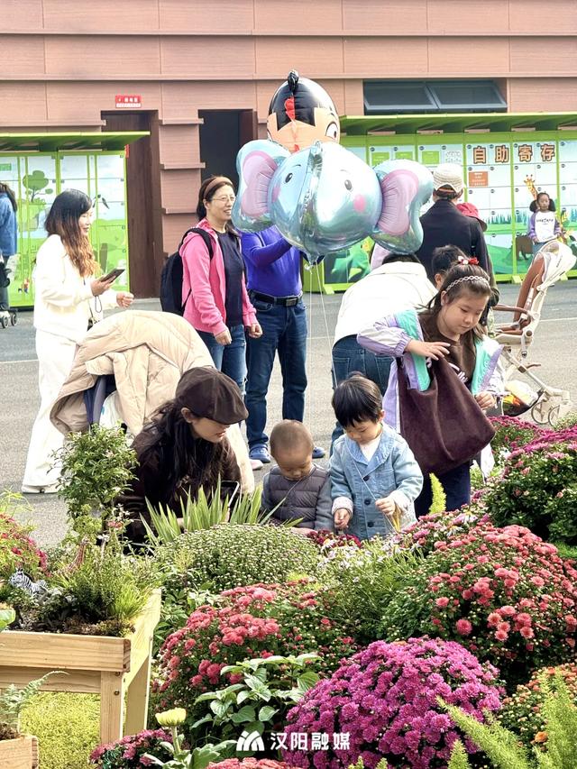 正式开幕，即将爆火一个月！