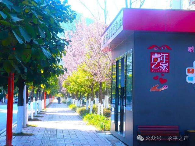 生活里的永平味道 |永平街巷藏不住的温柔与明媚