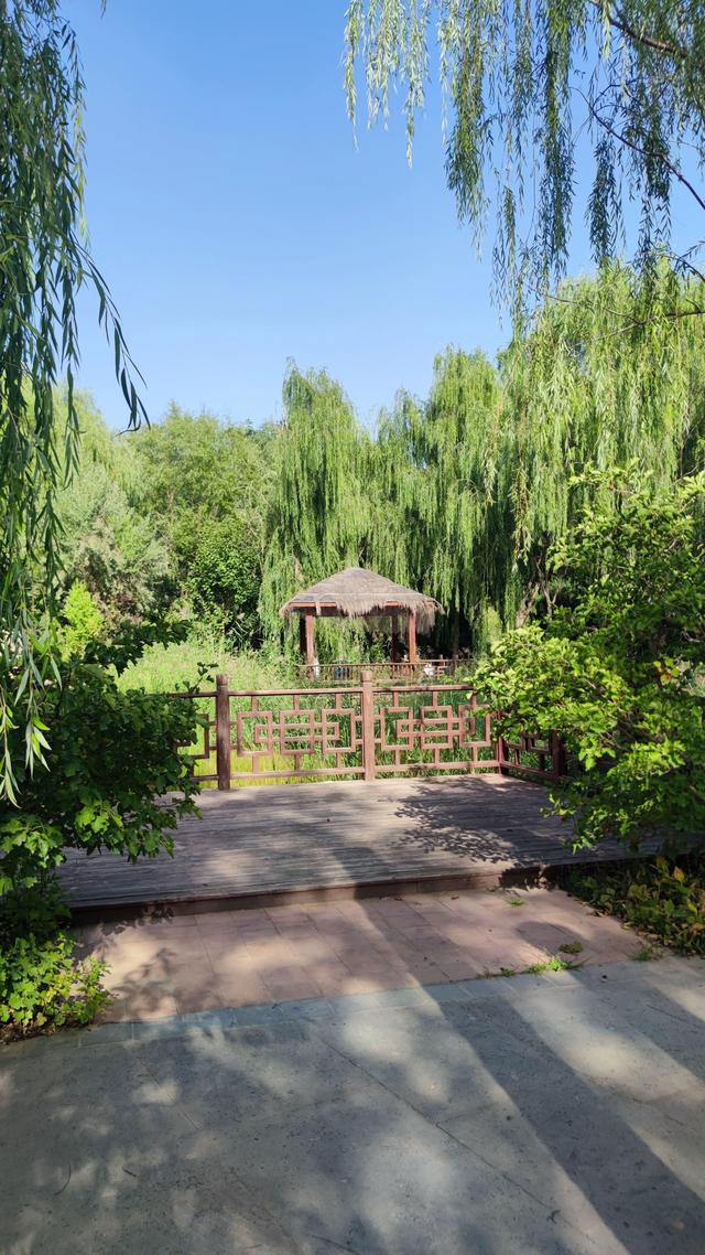 银川花博园真的好大，好大，是我见过的最大的花园